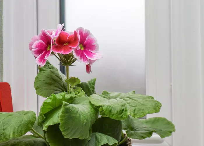 בית נופש 22 Constable Road פילי